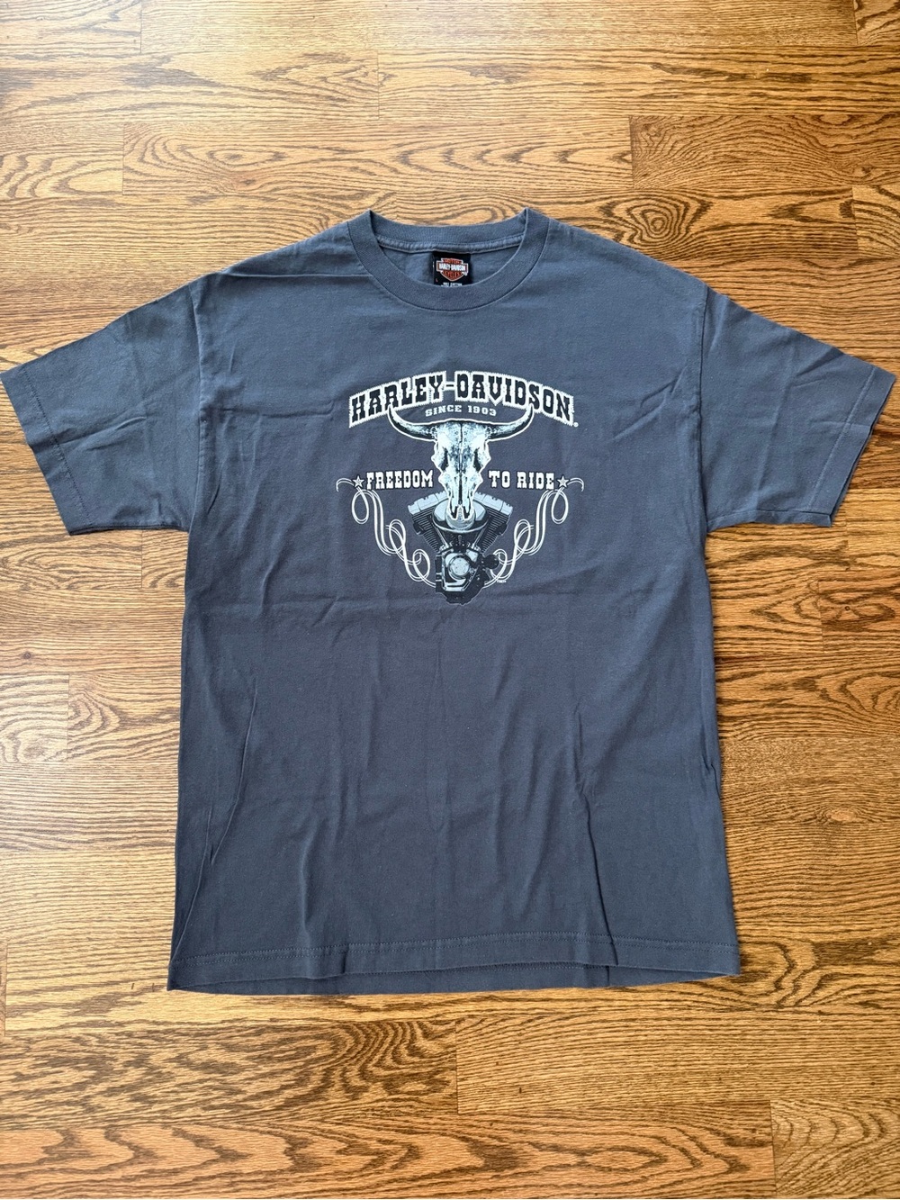 Vintage Harley-Davidson Gray T-Shirt 'Freedom to Ride' Cody Wyoming Large 2005